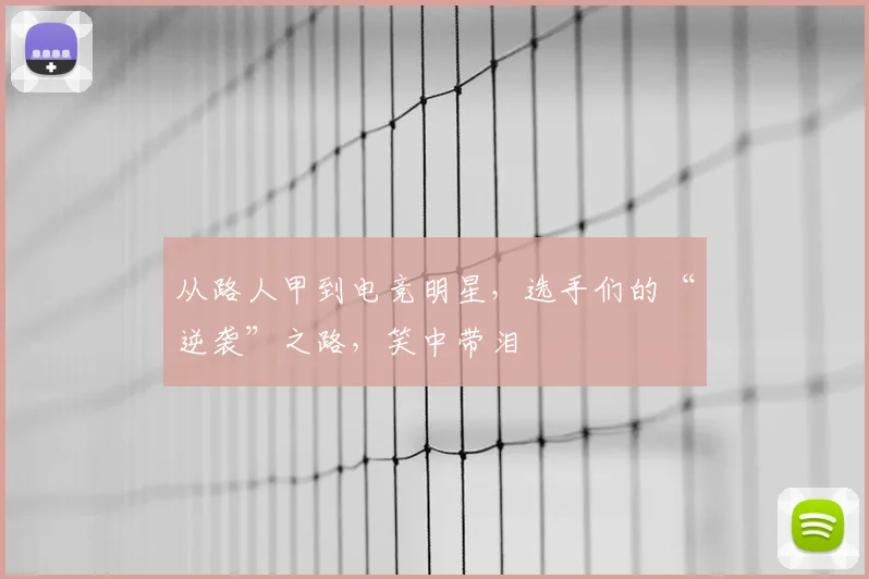 从路人甲到电竞明星,选手们的“逆袭”之路,笑中带泪