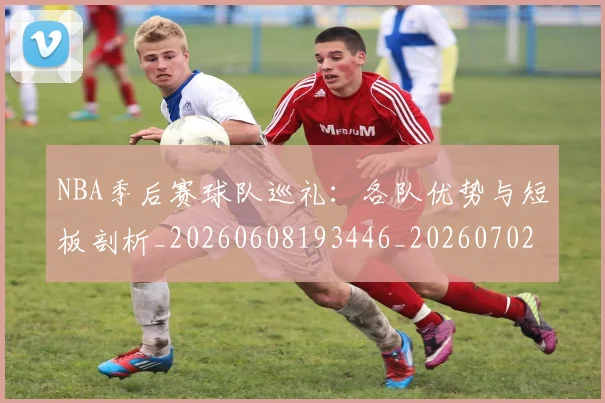 NBA季后赛球队巡礼：各队优势与短板剖析_20260608193446_20260702164613